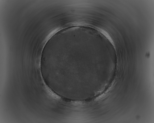 X0000095670946200801151101