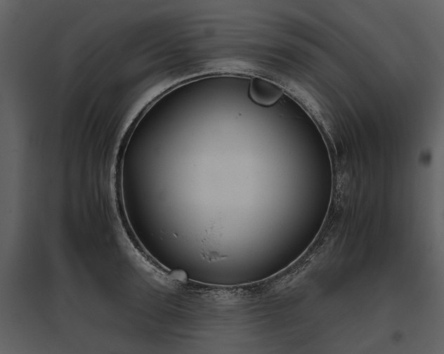 X0000095670947200801151101