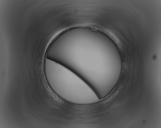 X0000095670948200801151101