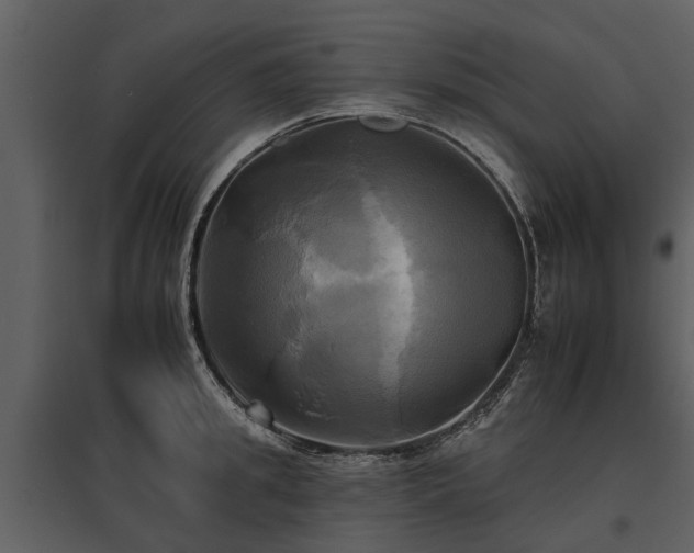 X0000095670949200801151101