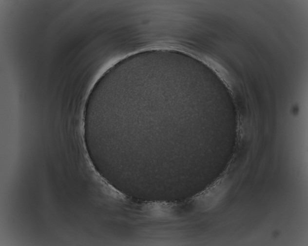 X0000095670950200801151101