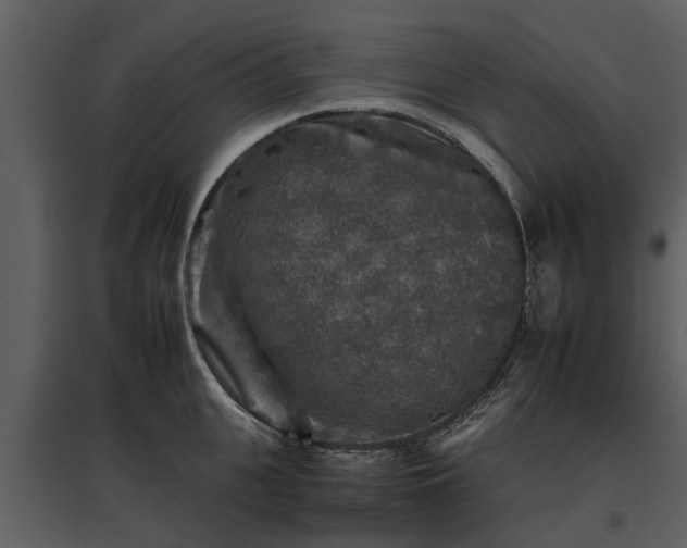 X0000095670951200801151101