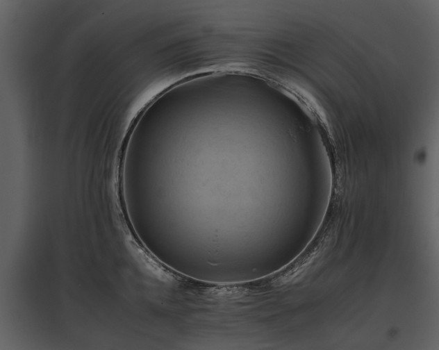 X0000095670952200801151101