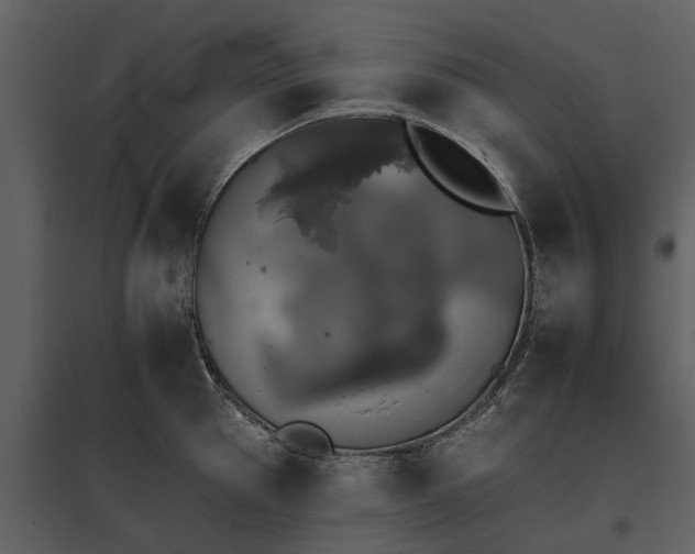 X0000095670953200801151101