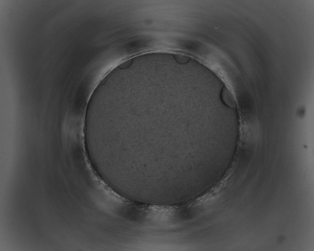 X0000095670954200801151101