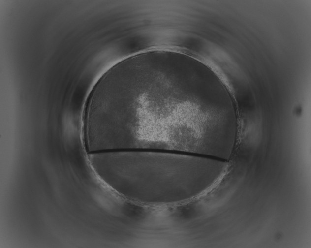 X0000095670955200801151101