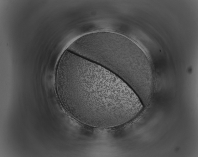 X0000095670956200801151101
