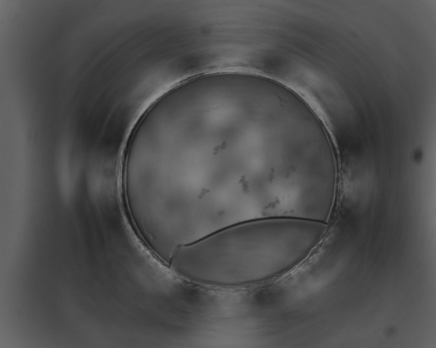 X0000095670957200801151101