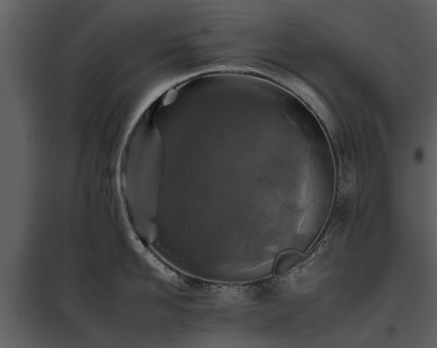 X0000095670958200801151101