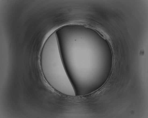 X0000095670960200801151101