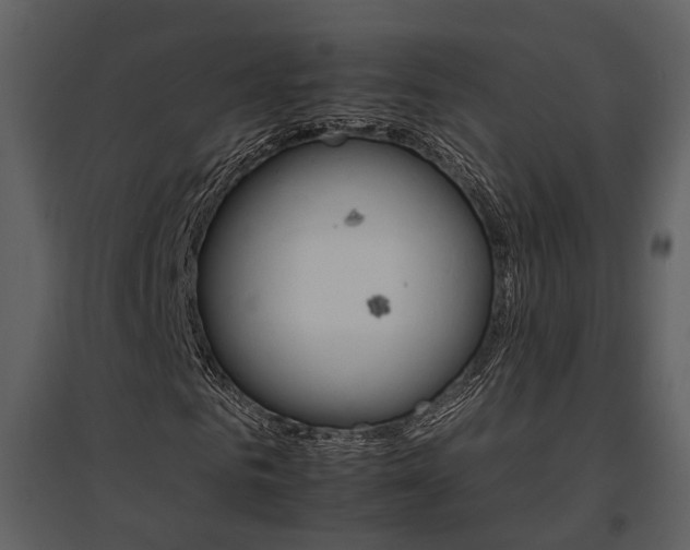 X0000095670961200801151100