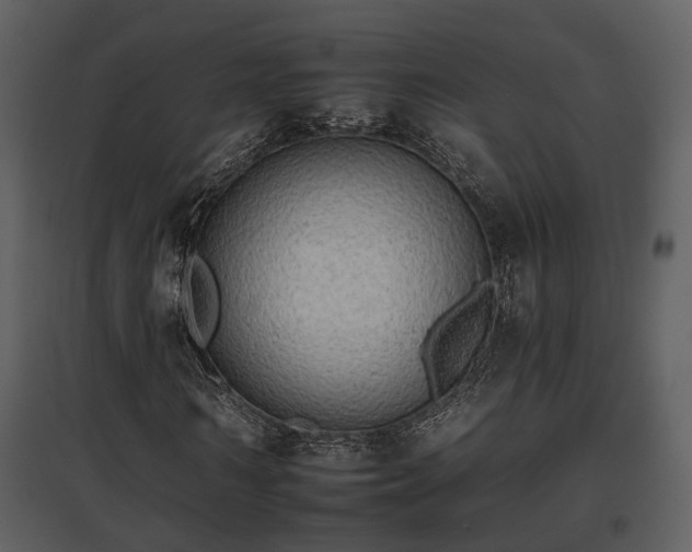 X0000095670962200801151100