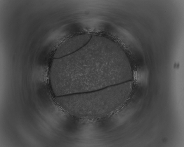 X0000095670963200801151100