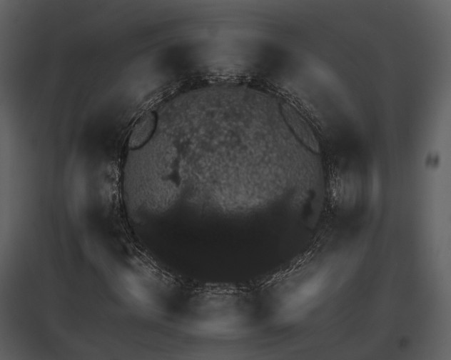 X0000095670964200801151100