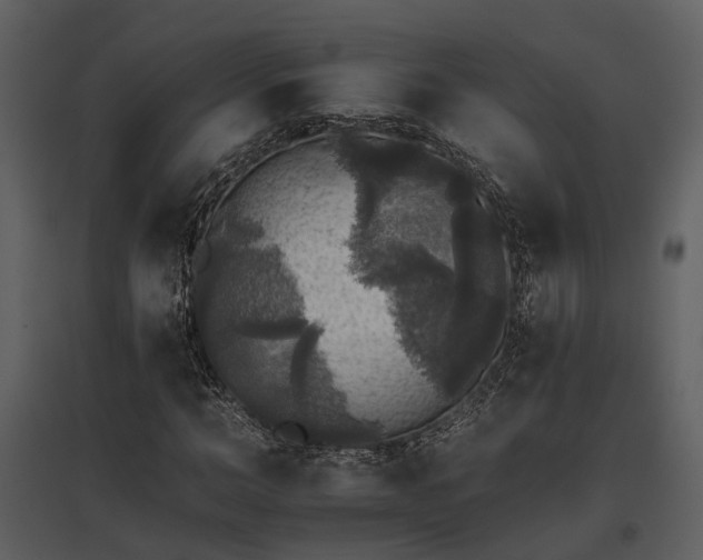 X0000095670966200801151100