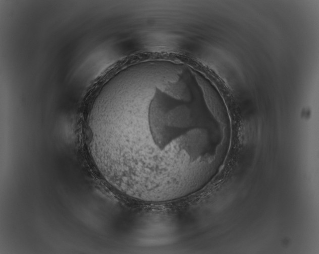 X0000095670968200801151100