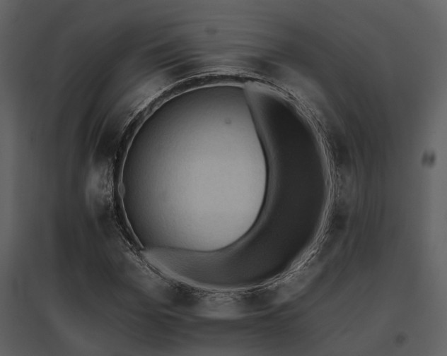 X0000095670969200801151100