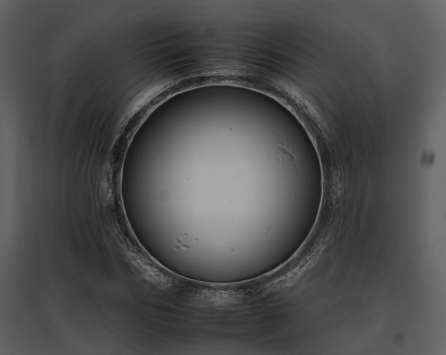 X0000095670970200801151100