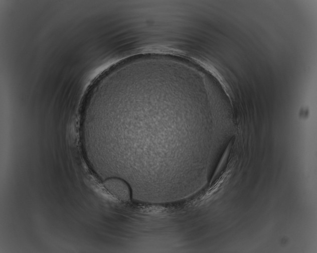 X0000095670971200801151100