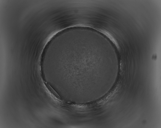 X0000095670972200801151100