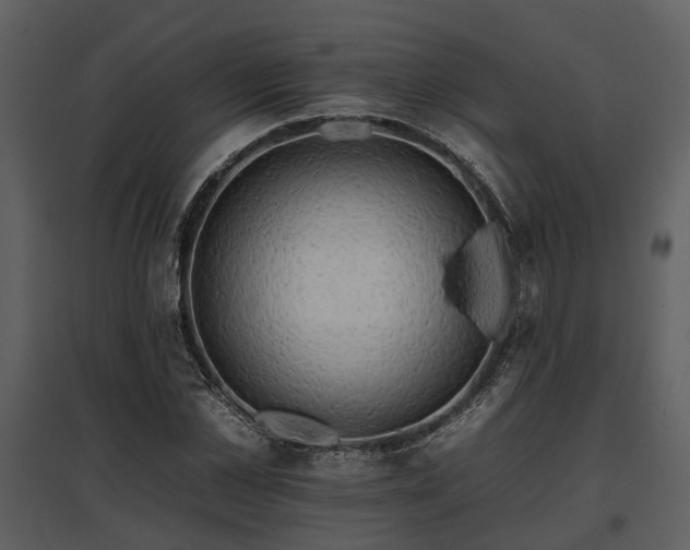 X0000095670973200801151100