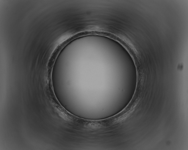 X0000095670974200801151100