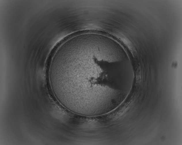 X0000095670975200801151100