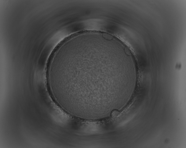 X0000095670976200801151100