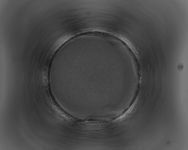 X0000095670977200801151100