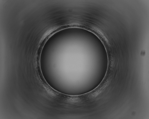 X0000095670978200801151100