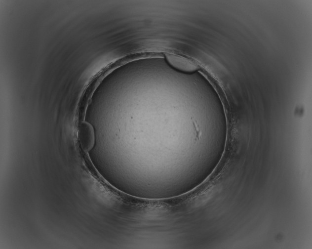 X0000095670979200801151100