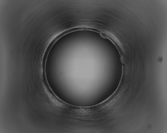 X0000095670980200801151100