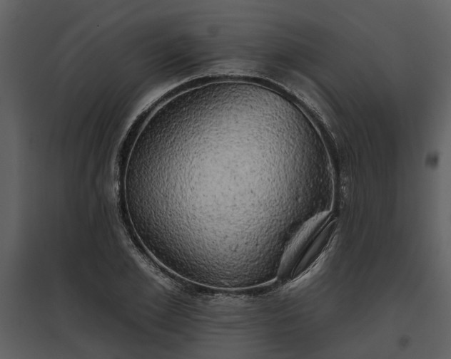 X0000095670981200801151100