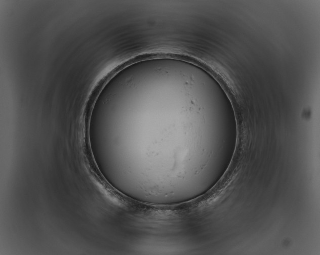 X0000095670982200801151100