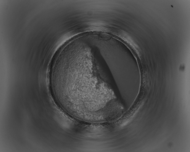 X0000095670983200801151100