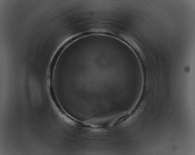 X0000095670984200801151100