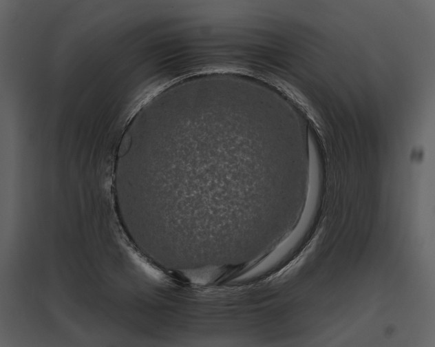 X0000095670985200801151100