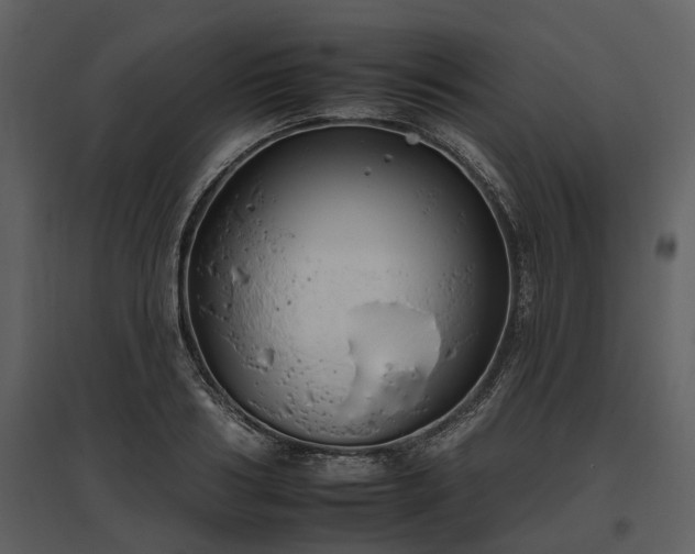 X0000095670986200801151100