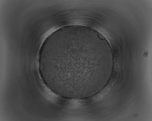 X0000095670987200801151100