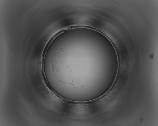 X0000095670988200801151100