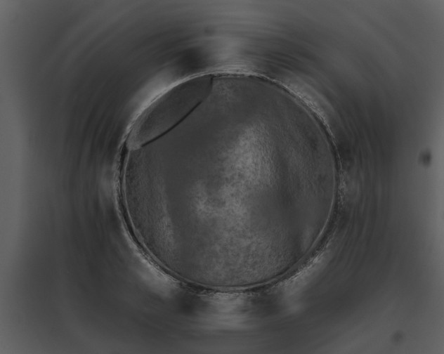 X0000095670989200801151100