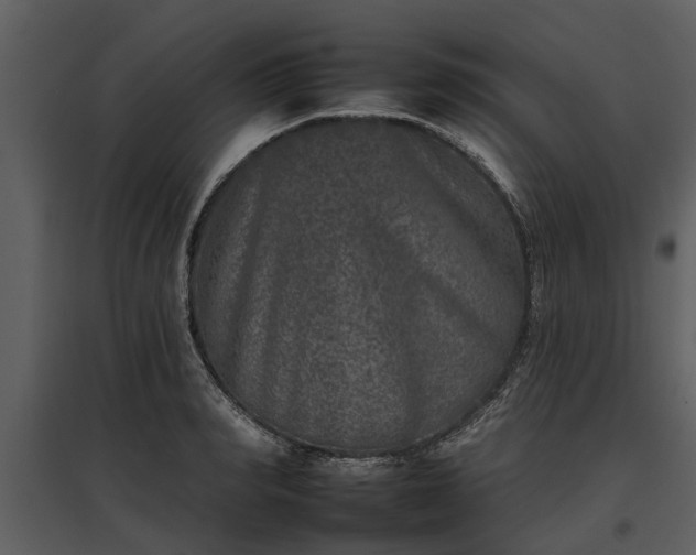 X0000095670990200801151100