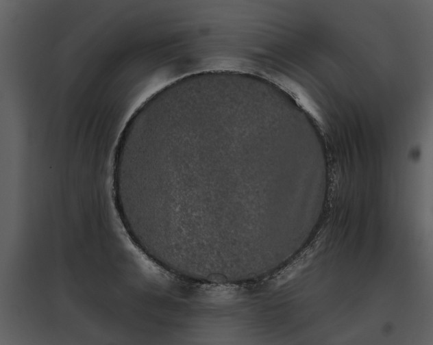 X0000095670991200801151100