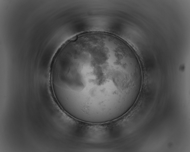 X0000095670992200801151100