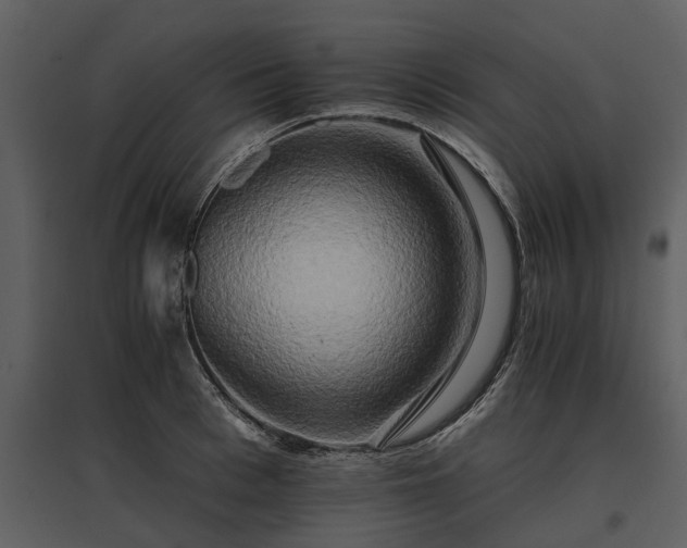 X0000095670993200801151100