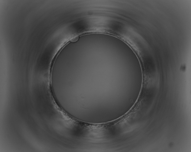 X0000095670994200801151100