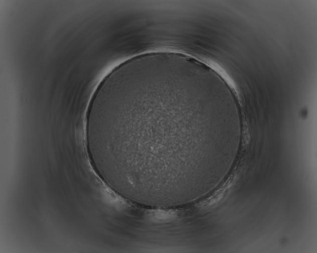 X0000095670996200801151100