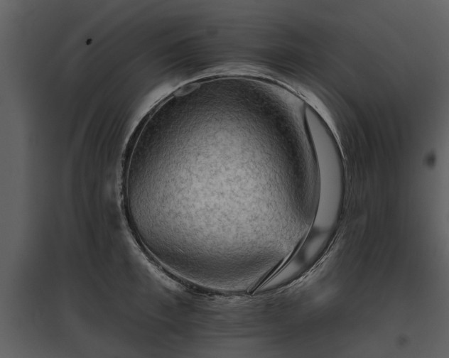 X0000095670997200801151100