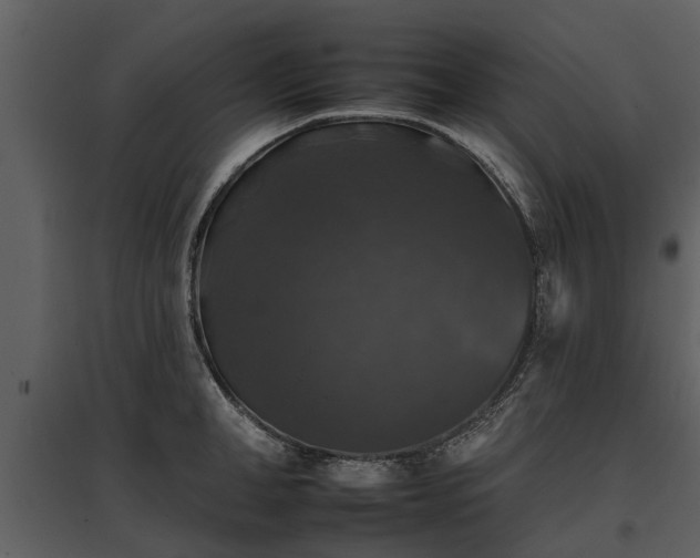 X0000095670998200801151100