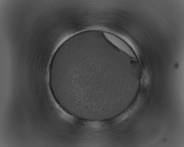 X0000095670999200801151100